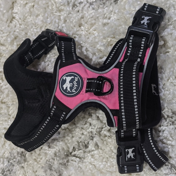 Two harnesses and one collar for puppies - Picture 3 of 4